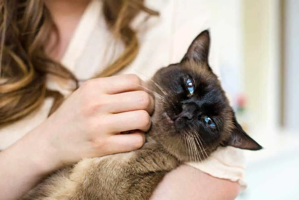 Melissa holding her cat