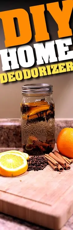 diy-home-deodorizer-pin